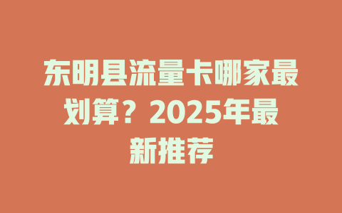 东明县流量卡哪家最划算？2025年最新推荐