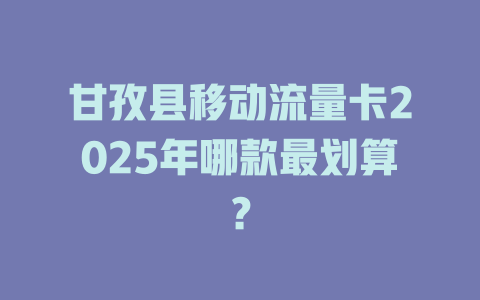 甘孜县移动流量卡2025年哪款最划算？