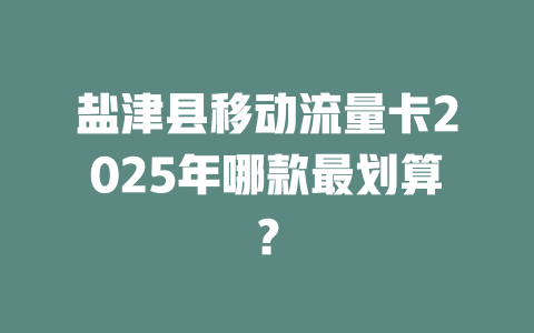 盐津县移动流量卡2025年哪款最划算？
