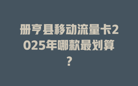 册亨县移动流量卡2025年哪款最划算？