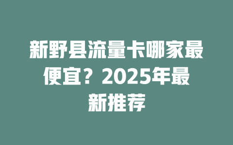 新野县流量卡哪家最便宜？2025年最新推荐