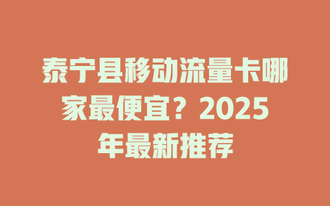 泰宁县移动流量卡哪家最便宜？2025年最新推荐