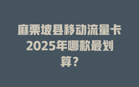 麻栗坡县移动流量卡2025年哪款最划算？