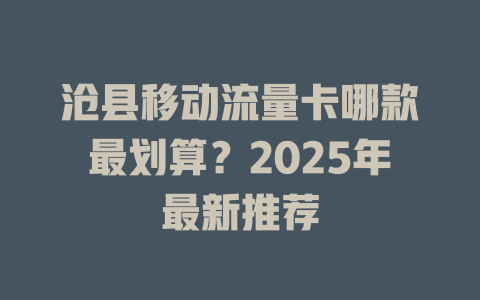 沧县移动流量卡哪款最划算？2025年最新推荐