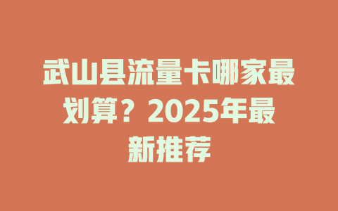 武山县流量卡哪家最划算？2025年最新推荐