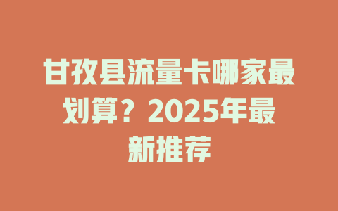 甘孜县流量卡哪家最划算？2025年最新推荐