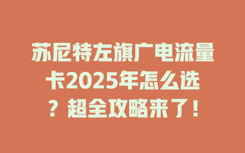 苏尼特左旗广电流量卡2025年怎么选？超全攻略来了！