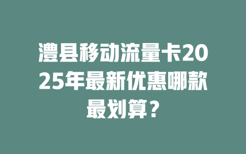 澧县移动流量卡2025年最新优惠哪款最划算？