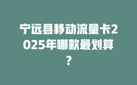 宁远县移动流量卡2025年哪款最划算？