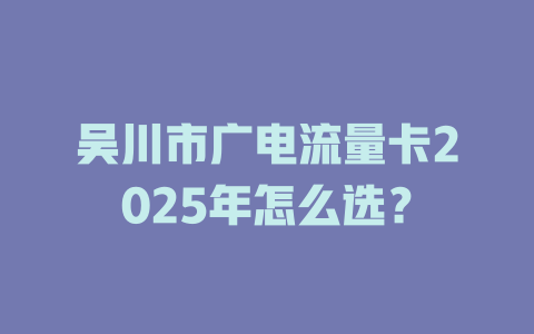 吴川市广电流量卡2025年怎么选？