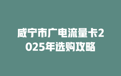 咸宁市广电流量卡2025年选购攻略