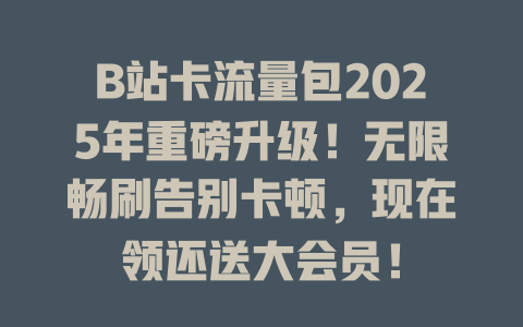 B站卡流量包2025年重磅升级！无限畅刷告别卡顿，现在领还送大会员！