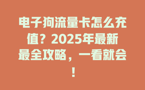 电子狗流量卡怎么充值？2025年最新最全攻略，一看就会！
