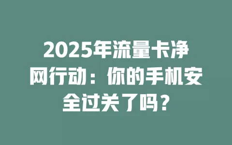 2025年流量卡净网行动：你的手机安全过关了吗？