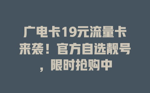 广电卡19元流量卡来袭！官方自选靓号，限时抢购中