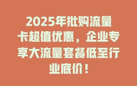 2025年批购流量卡超值优惠，企业专享大流量套餐低至行业底价！