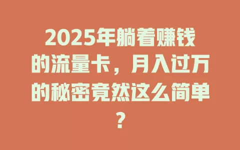 2025年躺着赚钱的流量卡，月入过万的秘密竟然这么简单？