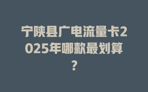 宁陕县广电流量卡2025年哪款最划算？