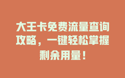 大王卡免费流量查询攻略，一键轻松掌握剩余用量！