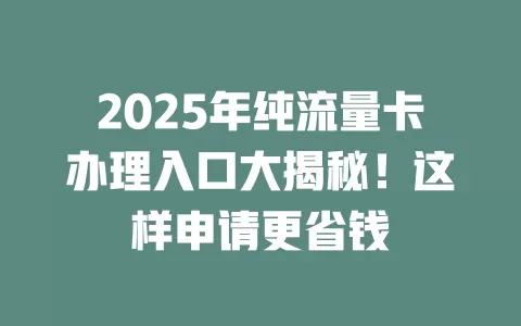 2025年纯流量卡办理入口大揭秘！这样申请更省钱