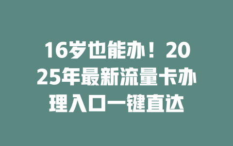 16岁也能办！2025年最新流量卡办理入口一键直达