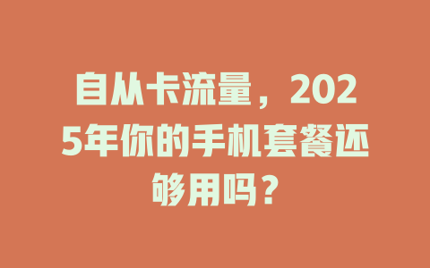 自从卡流量，2025年你的手机套餐还够用吗？