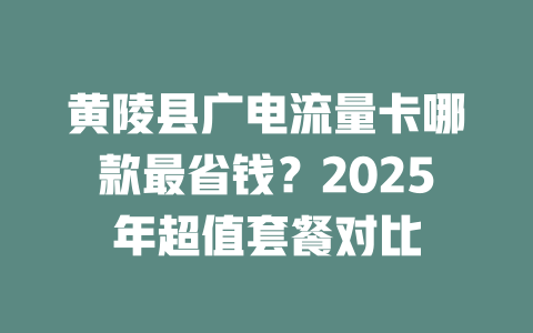 黄陵县广电流量卡哪款最省钱？2025年超值套餐对比