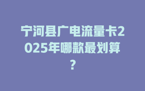 宁河县广电流量卡2025年哪款最划算？