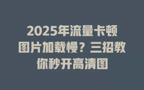 2025年流量卡顿图片加载慢？三招教你秒开高清图