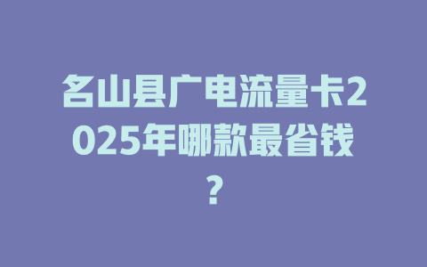 名山县广电流量卡2025年哪款最省钱？