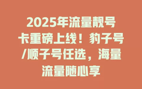 2025年流量靓号卡重磅上线！豹子号/顺子号任选，海量流量随心享