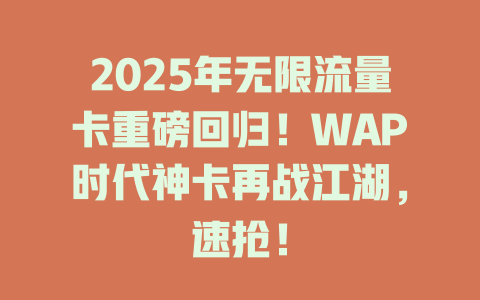 2025年无限流量卡重磅回归！WAP时代神卡再战江湖，速抢！