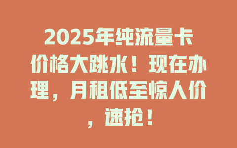 2025年纯流量卡价格大跳水！现在办理，月租低至惊人价，速抢！