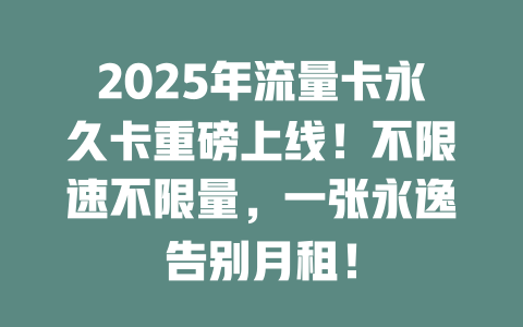 2025年流量卡永久卡重磅上线！不限速不限量，一张永逸告别月租！