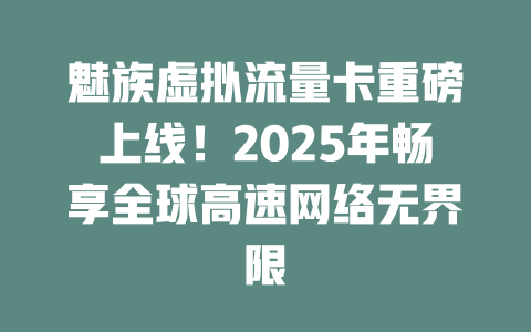 魅族虚拟流量卡重磅上线！2025年畅享全球高速网络无界限