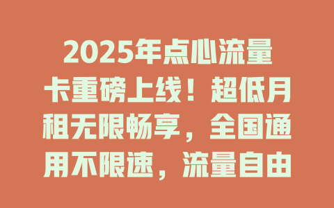 2025年点心流量卡重磅上线！超低月租无限畅享，全国通用不限速，流量自由触手可及！
