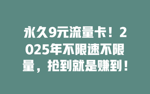 永久9元流量卡！2025年不限速不限量，抢到就是赚到！