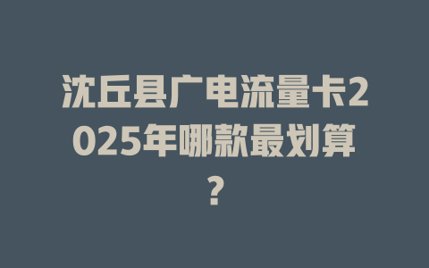 沈丘县广电流量卡2025年哪款最划算？