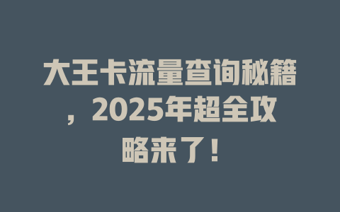 大王卡流量查询秘籍，2025年超全攻略来了！
