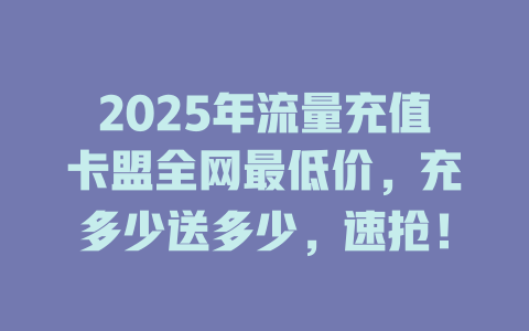 2025年流量充值卡盟全网最低价，充多少送多少，速抢！