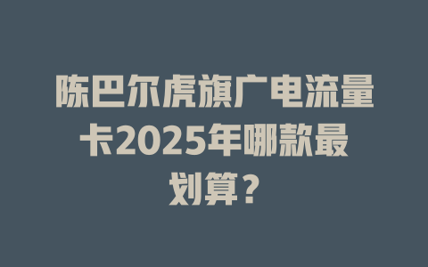 陈巴尔虎旗广电流量卡2025年哪款最划算？