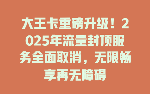 大王卡重磅升级！2025年流量封顶服务全面取消，无限畅享再无障碍