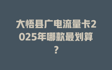 大悟县广电流量卡2025年哪款最划算？
