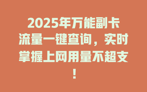 2025年万能副卡流量一键查询，实时掌握上网用量不超支！