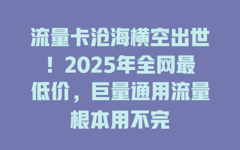 流量卡沧海横空出世！2025年全网最低价，巨量通用流量根本用不完