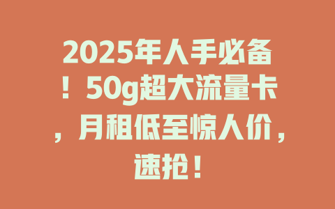 2025年人手必备！50g超大流量卡，月租低至惊人价，速抢！