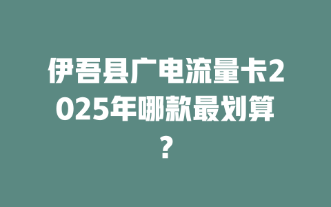 伊吾县广电流量卡2025年哪款最划算？