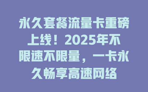 永久套餐流量卡重磅上线！2025年不限速不限量，一卡永久畅享高速网络