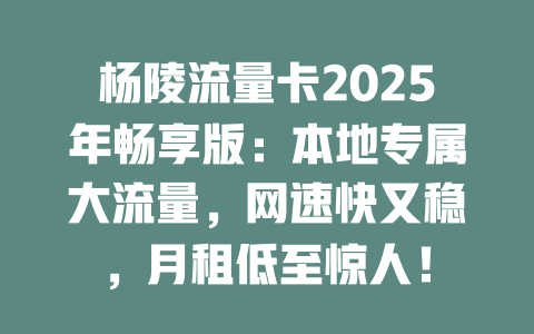 杨陵流量卡2025年畅享版：本地专属大流量，网速快又稳，月租低至惊人！