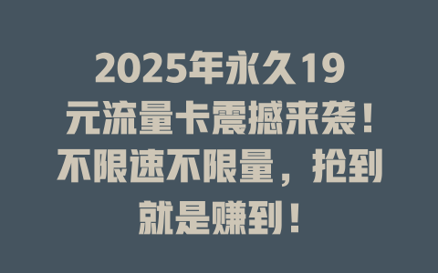 2025年永久19元流量卡震撼来袭！不限速不限量，抢到就是赚到！
